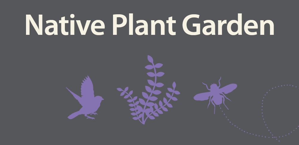 Native Plant Garden