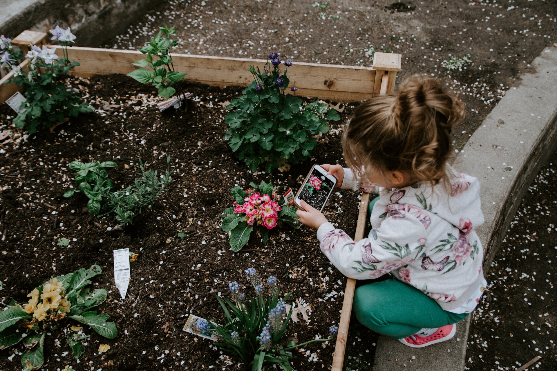 How gardening activities for preschoolers help nurture and develop a child’s creative side