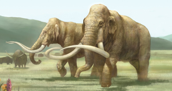 What did mammoths eat?