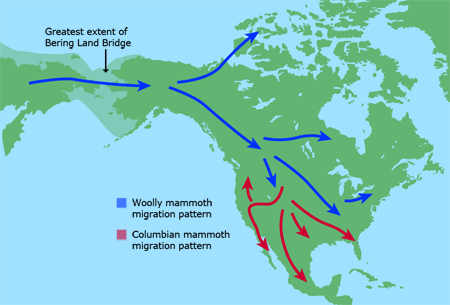 mammoth migration pattern