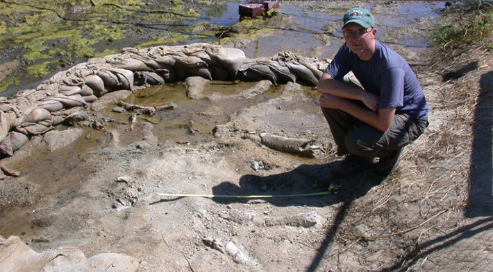 mammoth dig site