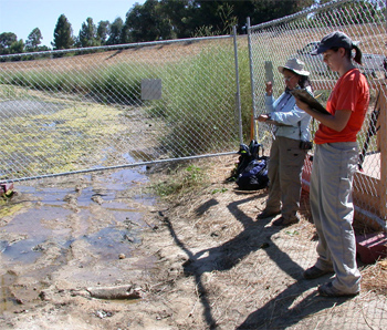 dig site