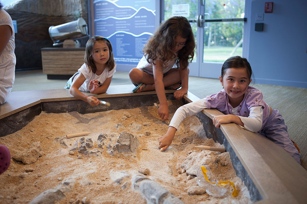 Mammoth Discovery Exhibit - Dig Pit