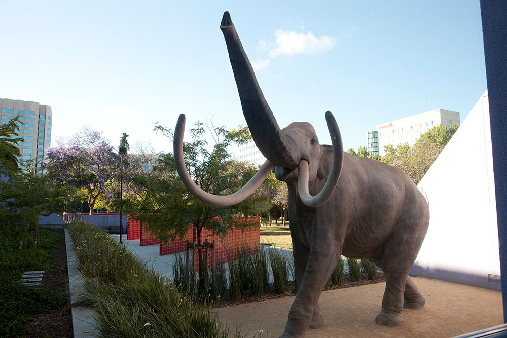 Mammoth Discovery Exhibit - Lupe's Mother