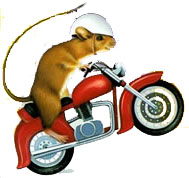 Mouse