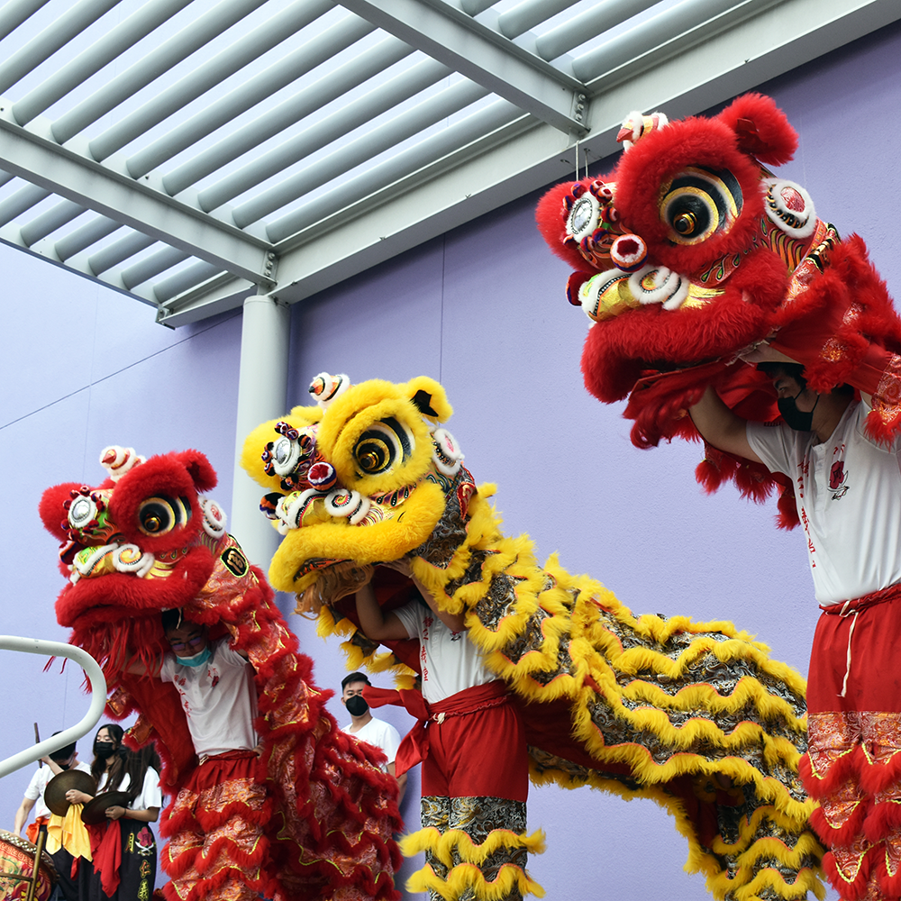 Lunar New Year 2023 - Children's Discovery Museum of San Jose