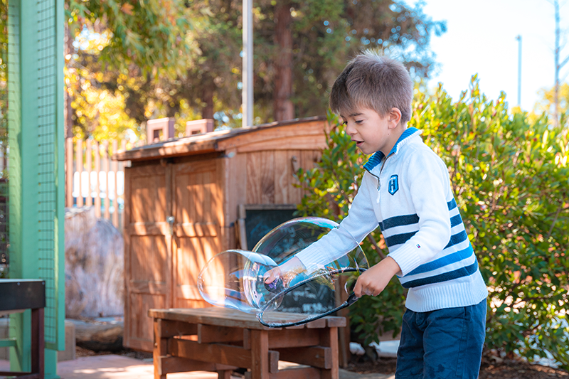 Bubbles